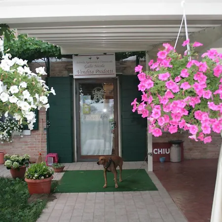 Locanda Antico Figher Musile di Piave